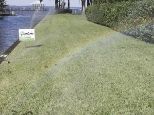 Lawn Drainage and Irrigation