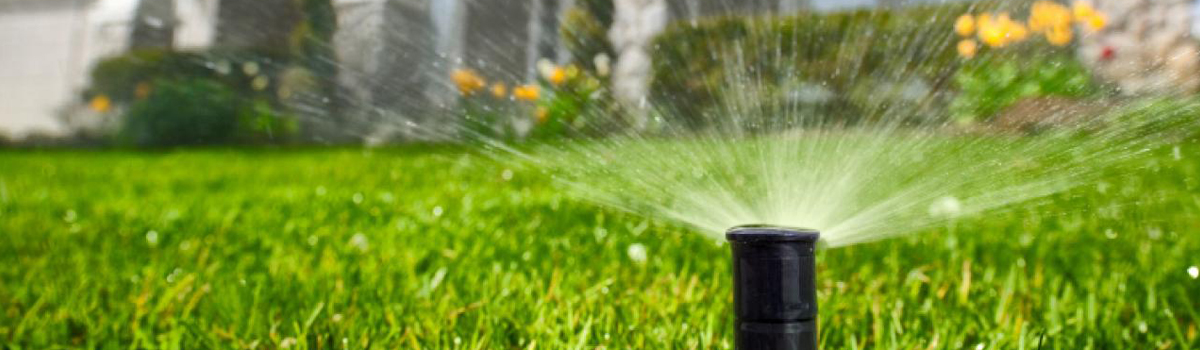 lawn-sprinklers